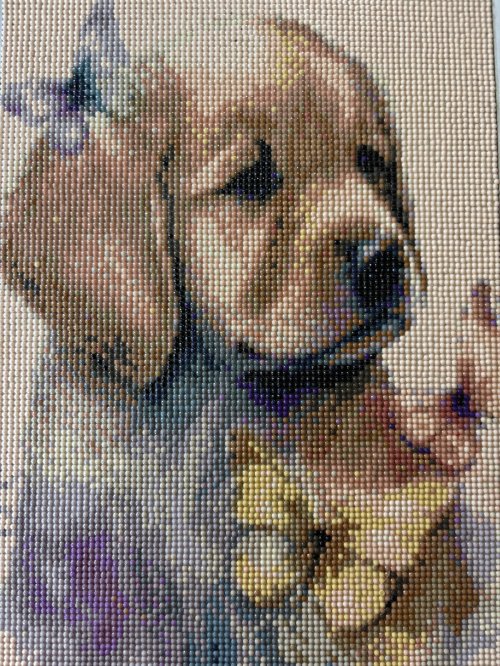 Diamond Art Golden Retriever Puppy